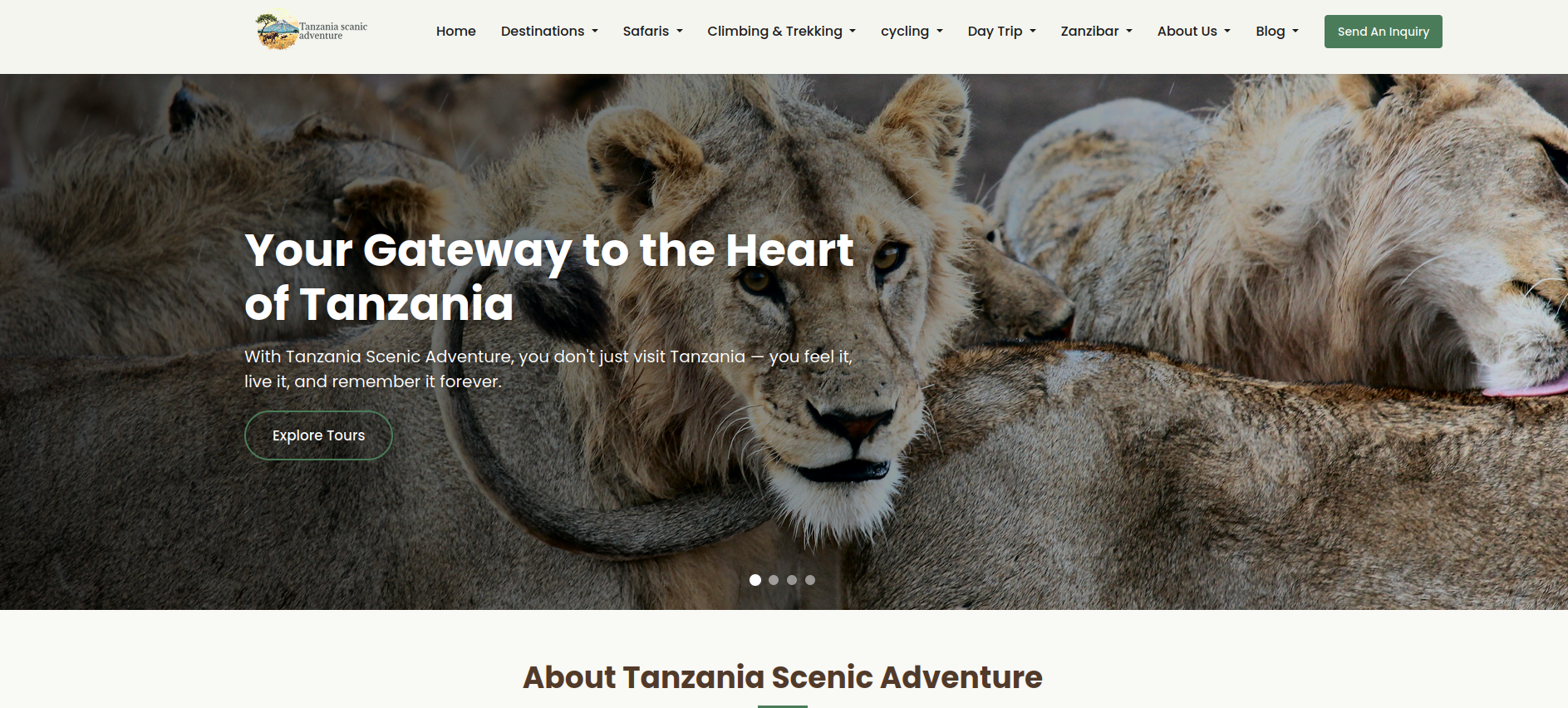 tanzania-scenic.com